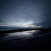 kivvaq_sage